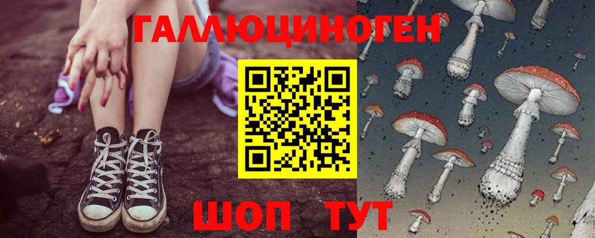 Галлюциногенные грибы Psilocybine cubensis Сафоново