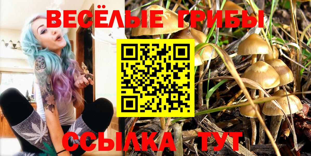 Галлюциногенные грибы ЛСД  Вход с VPN  купить   Сафоново 